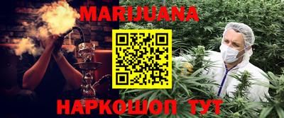 сатива Ставрополь