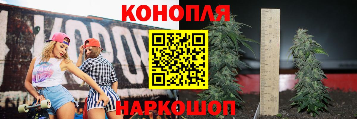 Шишки марихуана ГИДРОПОН Новошахтинск